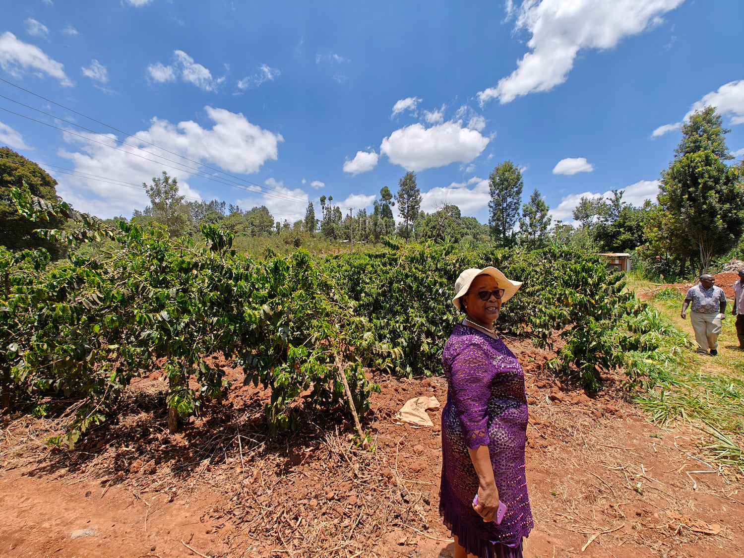 Peterson and Purity Muthathai, third-generation producers at Ngaratua Estate in Embu, Kenya. Producers of our latest Juicebox release, a fruity and rich filter coffee.