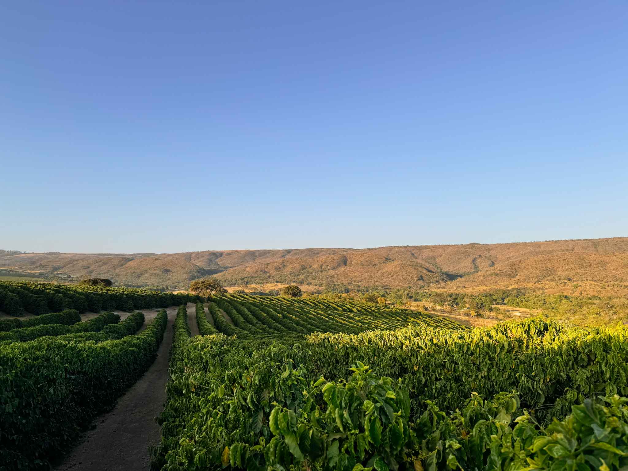 Fazenda Nunes