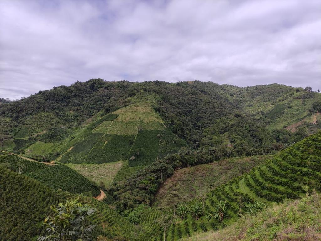 Finca Las Flores