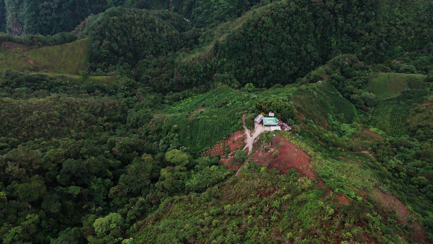 Finca Filadelfia