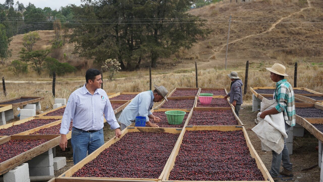 Finca Rosma