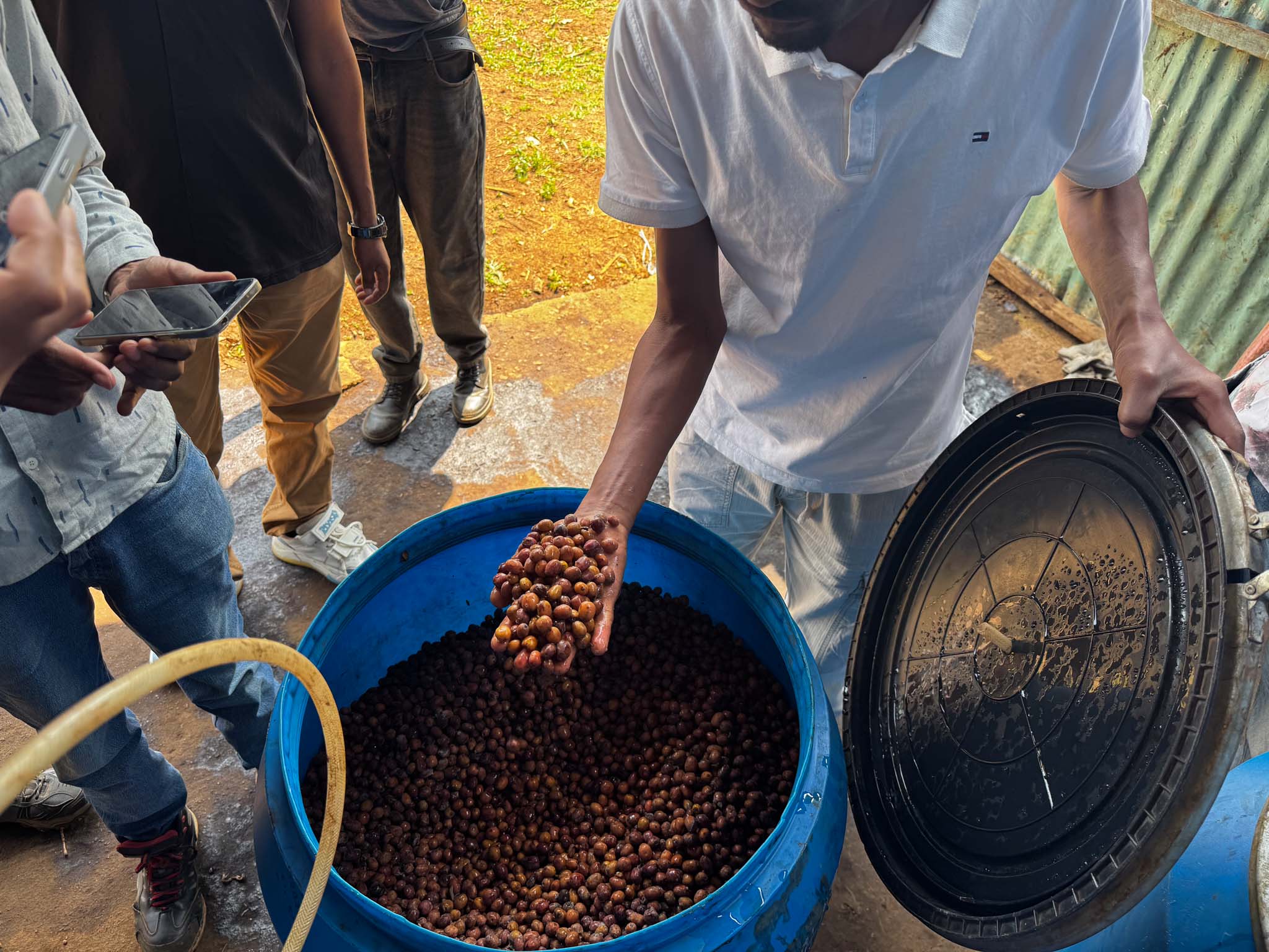 Adorsi washing station in Aricha, Yirgacheffe, Ethiopia. Coffee selected for Wide Awake's Anemone espresso, featuring notes of apricot, tangerine, honey and elderflower.