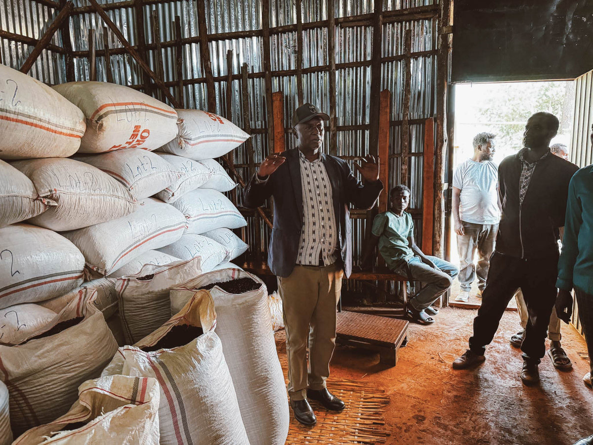 A delicate and complex coffee from Bekele Kachara's Murago site in Bensa, Sidama. We met Bekele on a trip through Ethiopia and have since bought his coffee. This honey processed JARC 74158 gives a clean, layered cup. Notes of peach, white flower and oolong.
