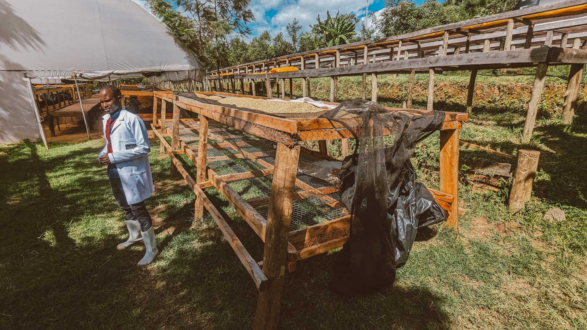 This coffee is grown at Chepsangor Hills Estate in Nandi Hills, Kenya, founded by Dr. Rosebella Langat. Expect a sweet, fruity cup with notes of wine gum, cherry coke and orange blossom.