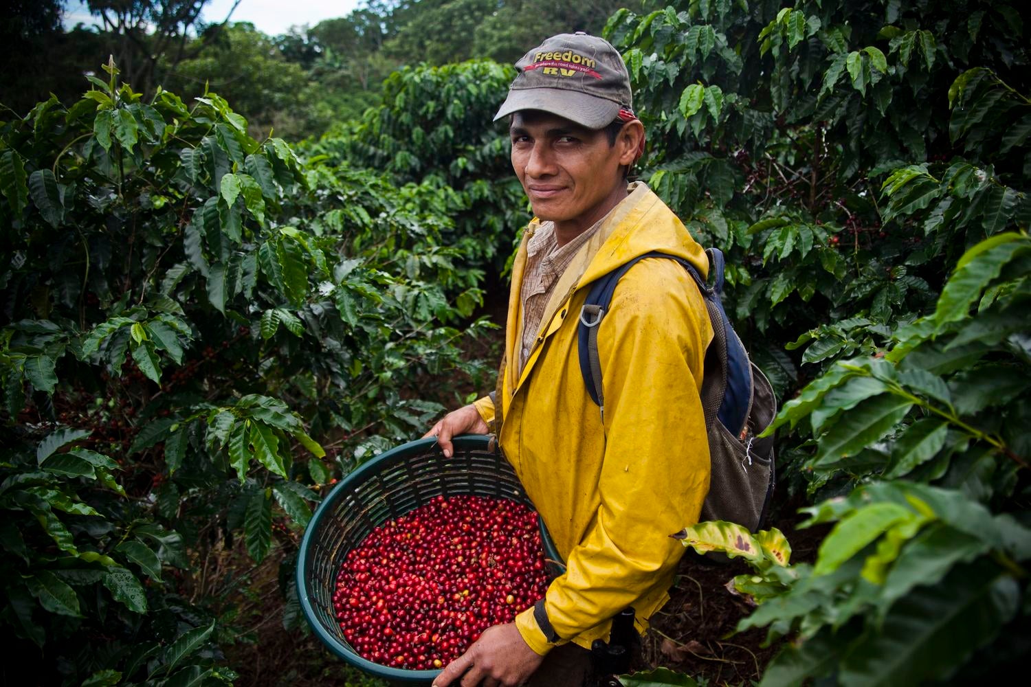 Alberto Guardia at Hacienda Sonora, a 100-hectare farm in Costa Rica's Valle Central. Located near Poás Volcano, the farm grows coffee under native shade trees and runs entirely on renewable hydroelectric energy generated on site.