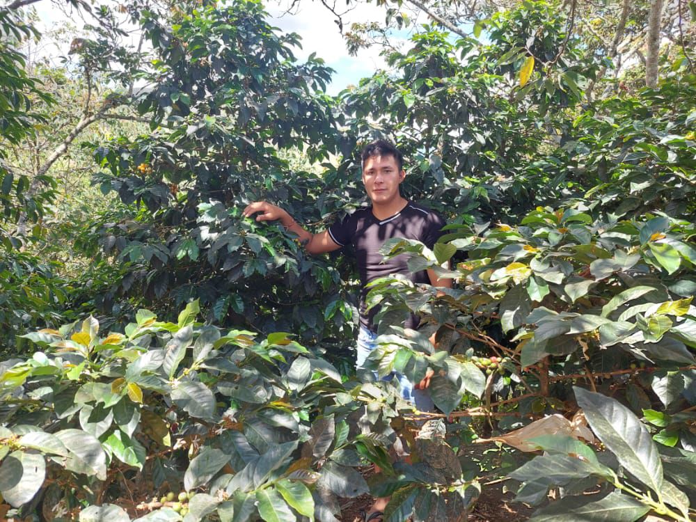 Jhon Silva, Peru, Washed Caturra, our newest release on our Easy Rider line. 