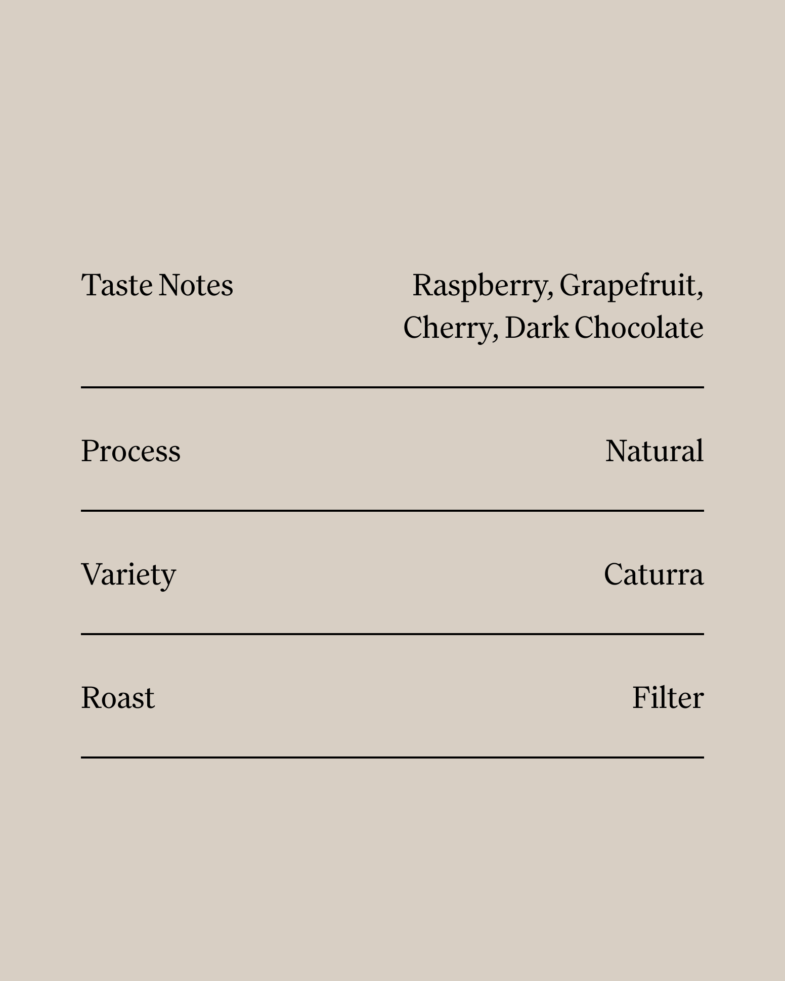 Strawberry Fields Brew Bags